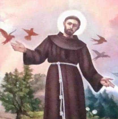 St Francis- Patrons | A Blessed Call To Love