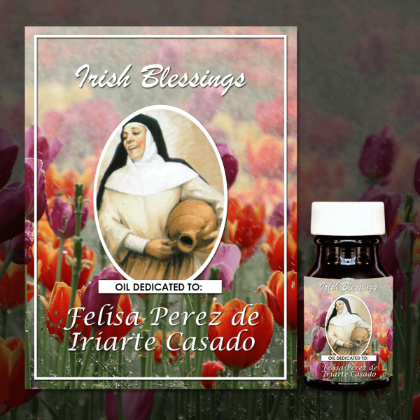 Oil Dedicated to Felisa Perez de Iriarte Casado