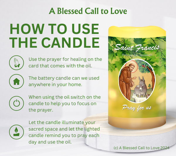 St Francis (Patron for Animals) Oil and Candle Set - Image 10