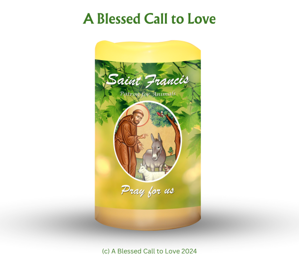 St Francis (Patron for Animals) Oil and Candle Set - Image 2