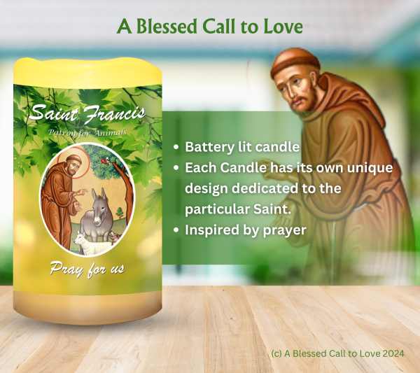 St Francis (Patron for Animals) Oil and Candle Set - Image 5