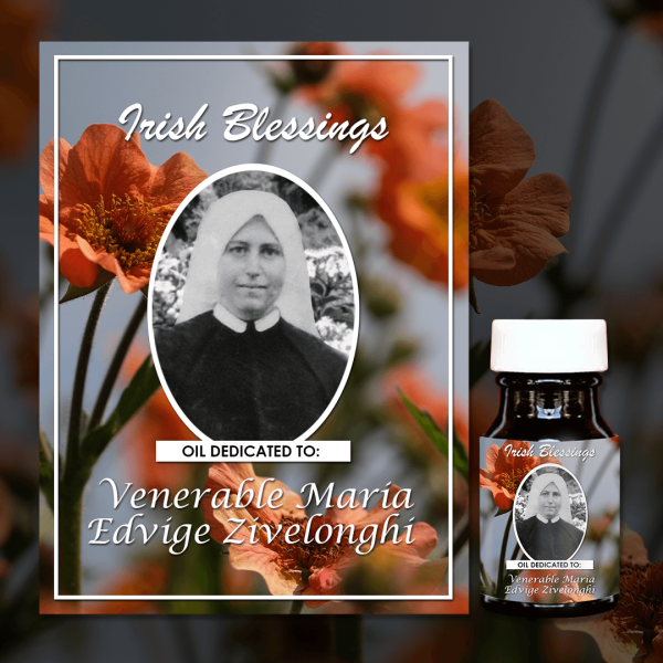 Oil Dedicated to Venerable Maria Edvige Zivelonghi