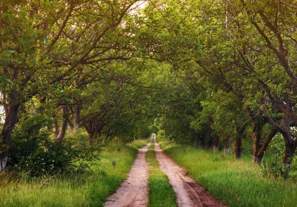 Way Of Hope