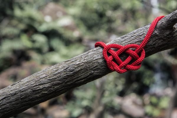 Lonely Heart