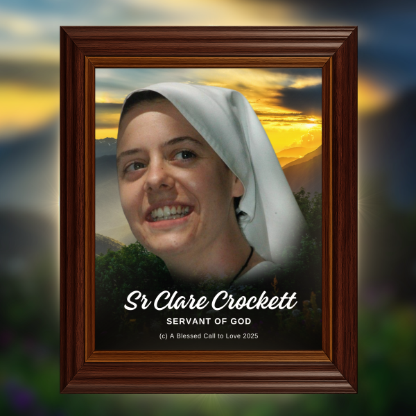 Sr Clare Crockett - Frame