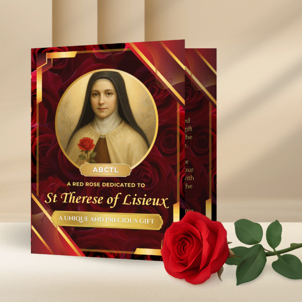 A Red Rose Dedicated to St. Thérèse of Lisieux